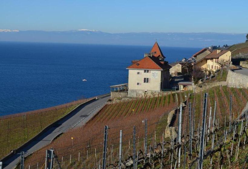 ペンション Domaine Du Burignon