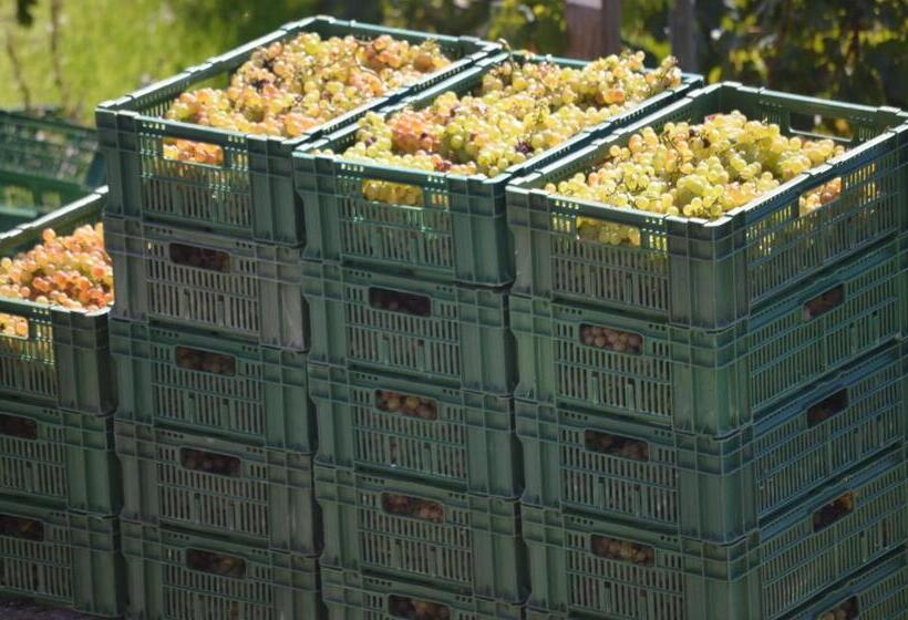 ペンション Domaine Du Burignon