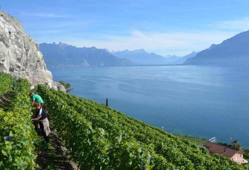 ペンション Domaine Du Burignon