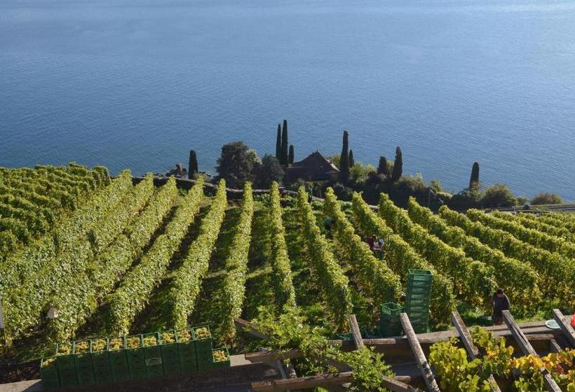 ペンション Domaine Du Burignon