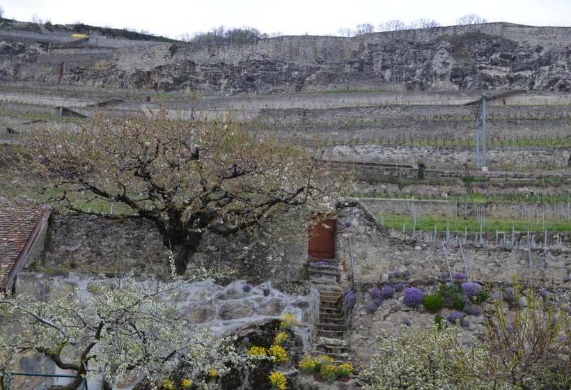 ペンション Domaine Du Burignon