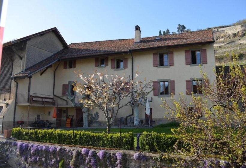 ペンション Domaine Du Burignon