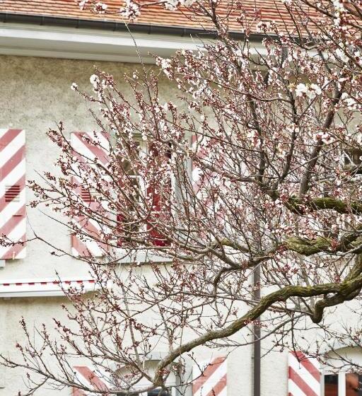 ペンション Domaine Du Burignon