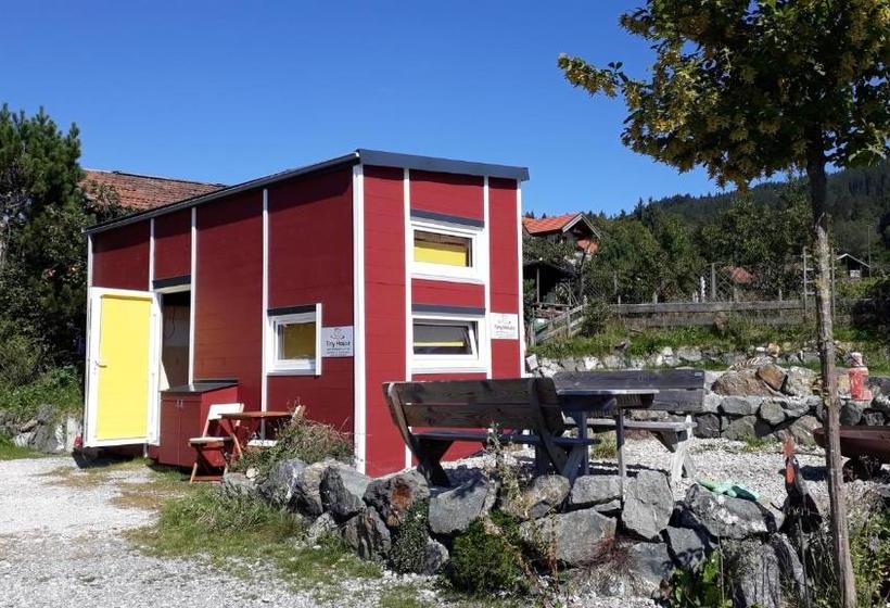 Apparthotel Pension Ammertaler Hof