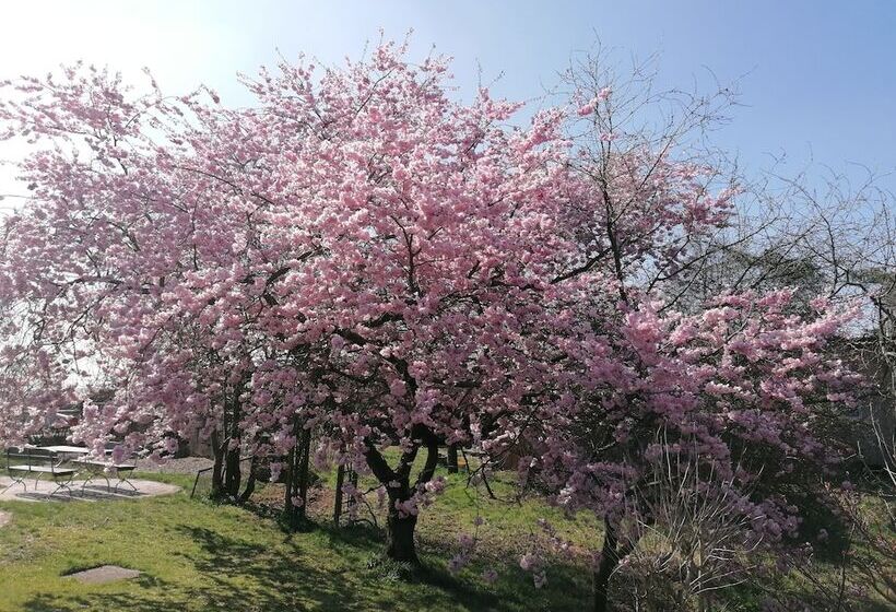 펜션 Kirschberghof Gästehaus Und Weinverkauf