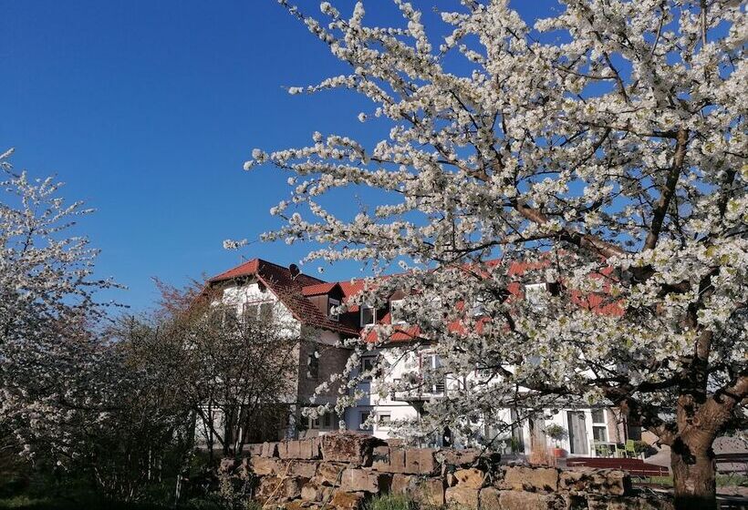 펜션 Kirschberghof Gästehaus Und Weinverkauf