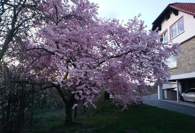펜션 Kirschberghof Gästehaus Und Weinverkauf