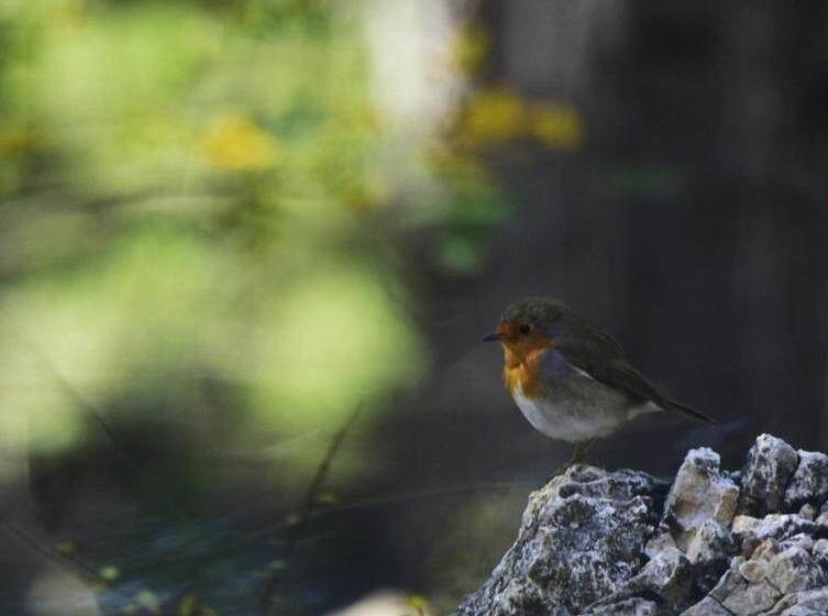 بنسيون La Posada
