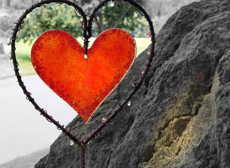 膳宿费 Lindenhaus