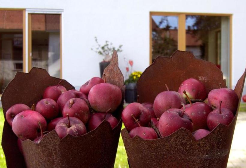 膳宿费 Lindenhaus