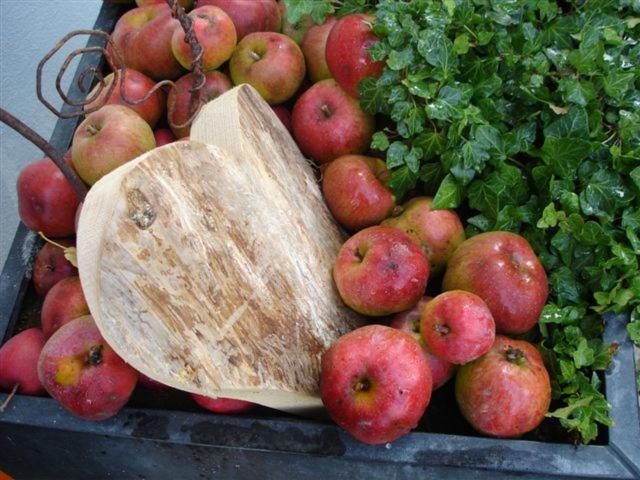 膳宿费 Lindenhaus