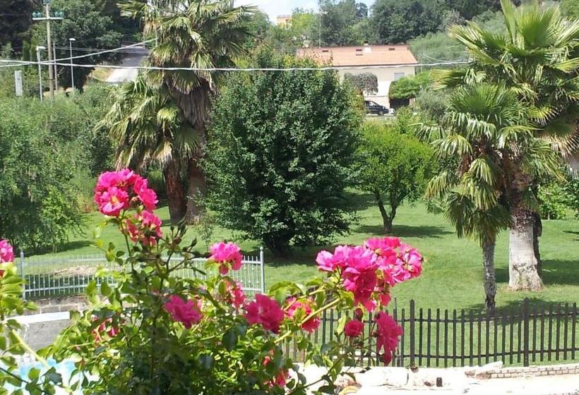 膳宿费 Luconi Affittacamere