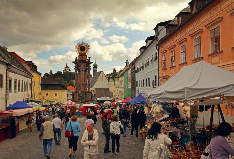 ペンション Penzion Nostalgia