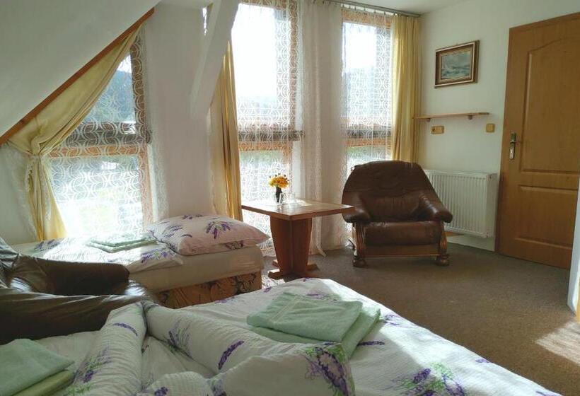 پانسیون Penzion U Veselých