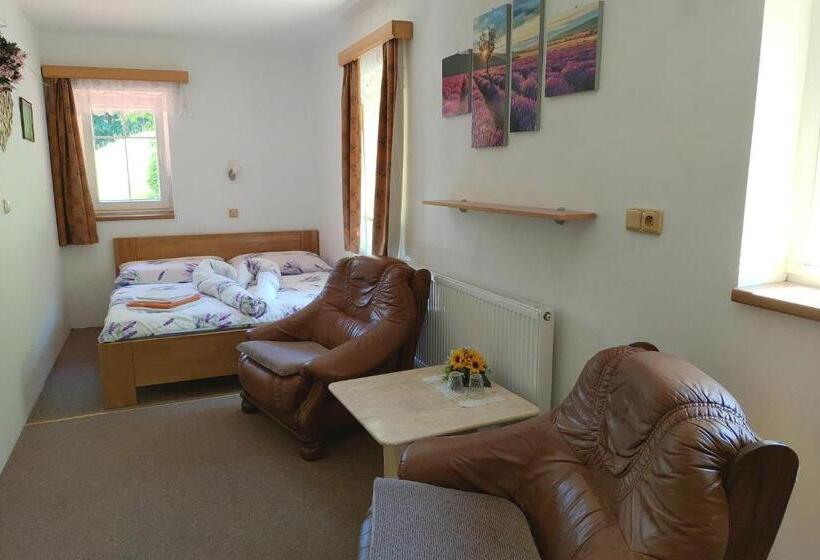 پانسیون Penzion U Veselých