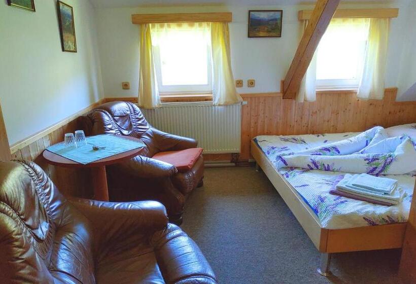 پانسیون Penzion U Veselých