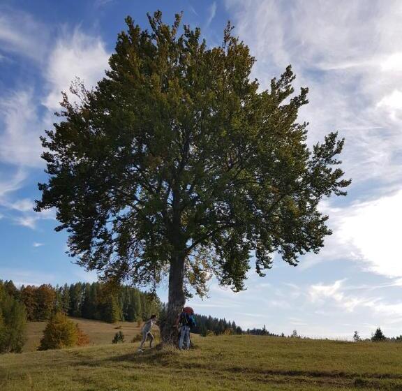 膳宿费 Penzion V Strani