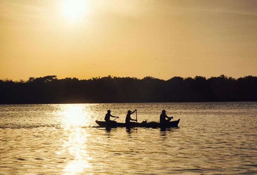 膳宿费 Pousada Asa Branca