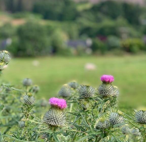 Пансион Rooms At Elmbank Near Loch Ness