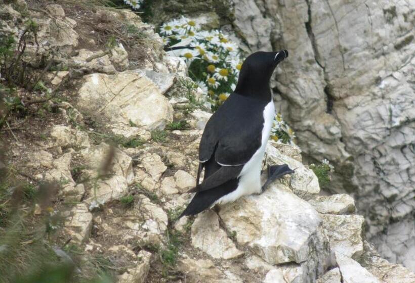 Пансион Shearwater