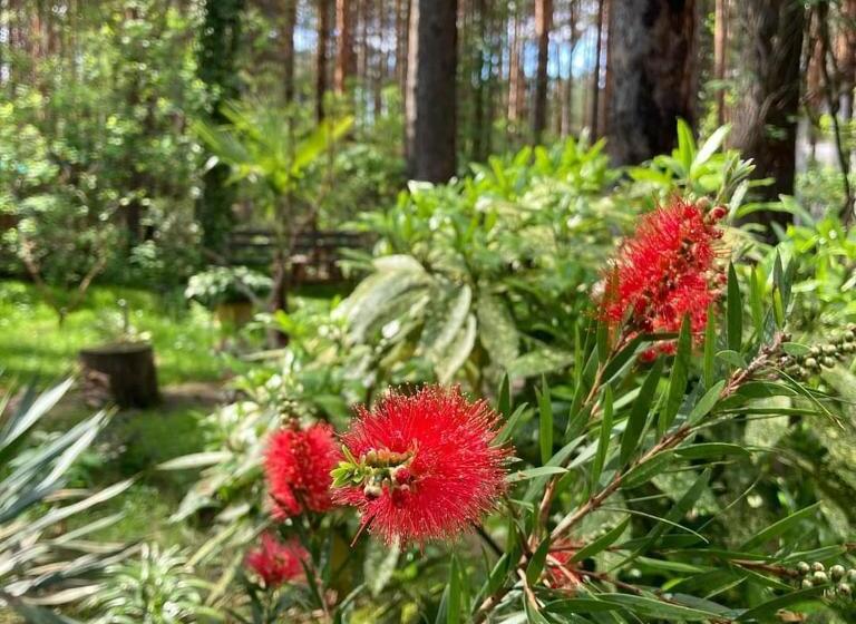 پانسیون Vila Dunavski Raj