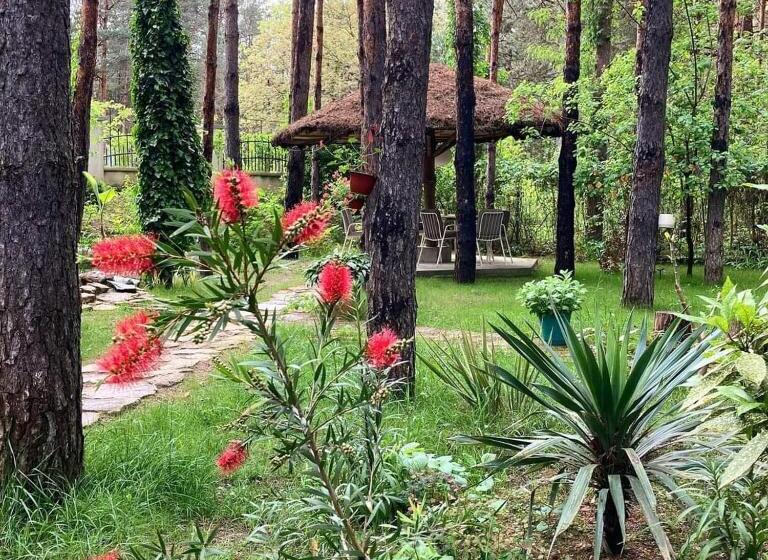 پانسیون Vila Dunavski Raj