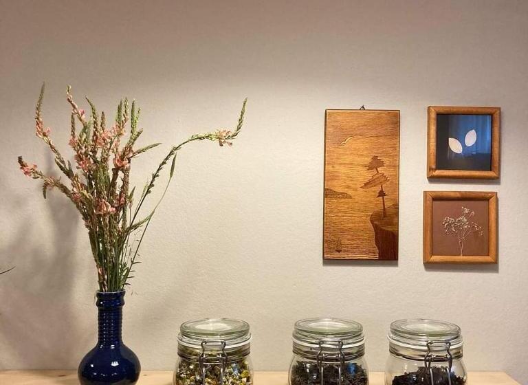 پانسیون Vila Dunavski Raj