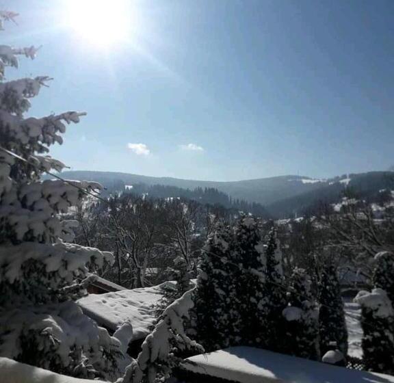 膳宿费 Vila Iulia