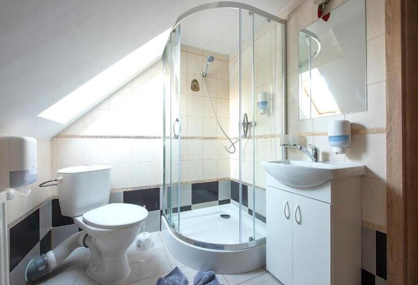 بنسيون Wellness Vila Astra