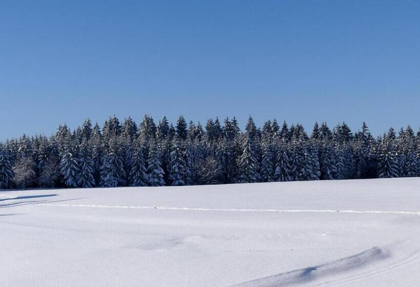 Pension Haus Am Walde