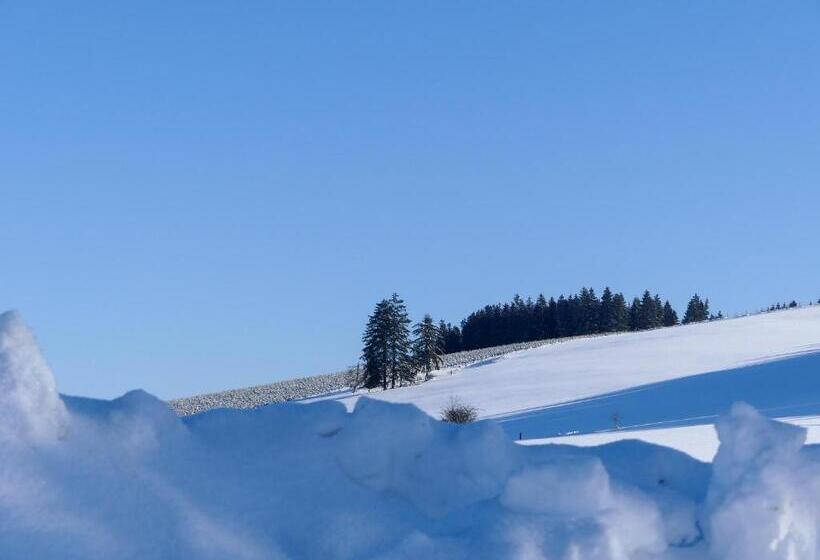 Pension Haus Am Walde