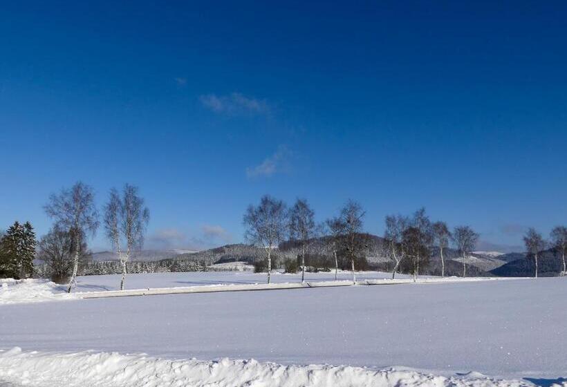 Pension Haus Am Walde