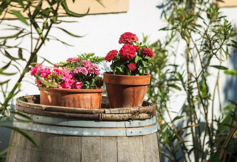 Pension Julia & Haus Elisabeth Wallner S Hofheuriger & Weinhof