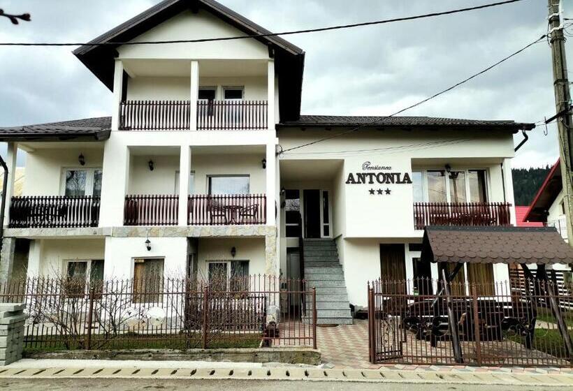 Pensiunea Antonia