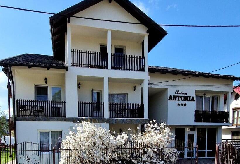 Pensiunea Antonia