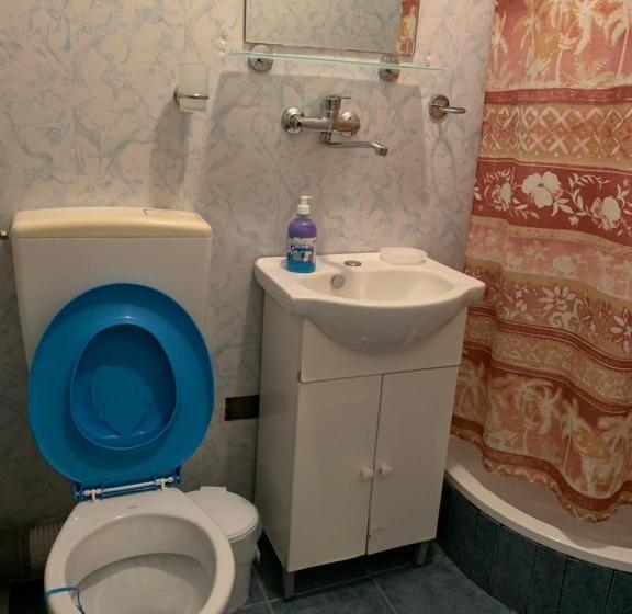 Pensiunea Robi&norbi Sovata