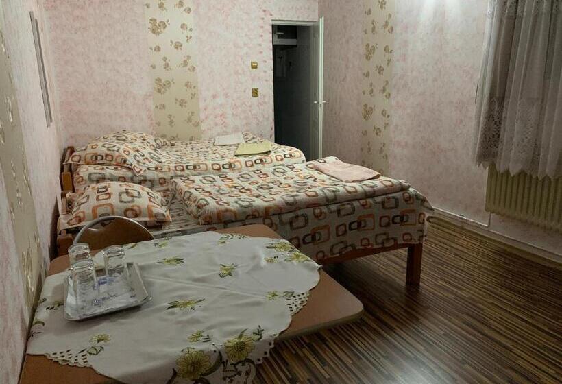 Pensiunea Robi&norbi Sovata