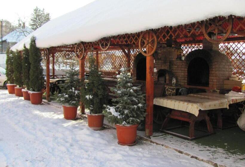 Pensiunea Robi&norbi Sovata