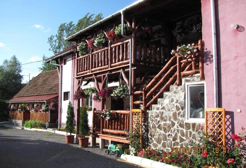 Pensiunea Robi&norbi Sovata