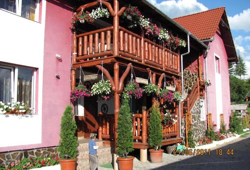 Pensiunea Robi&norbi Sovata