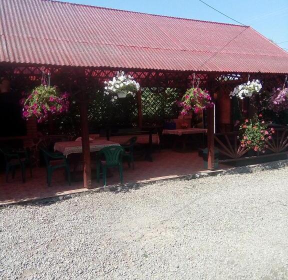 Pensiunea Robi&norbi Sovata