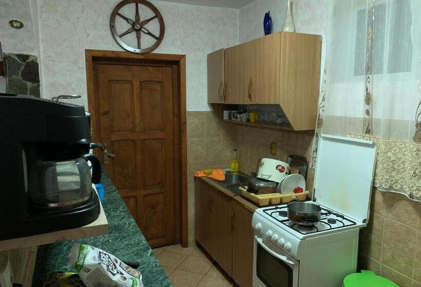 Pensiunea Robi&norbi Sovata