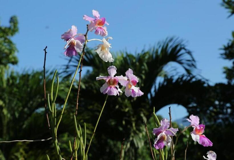 호스텔 Blue Banyan Inn