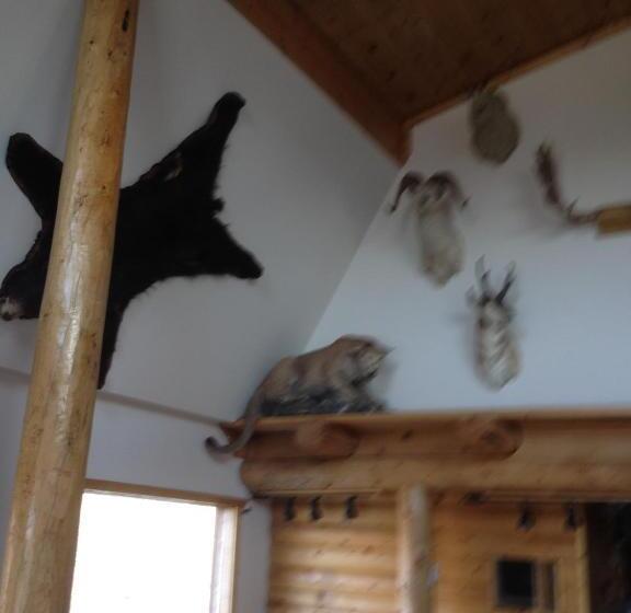 فندق صغير Duck Lake Lodge
