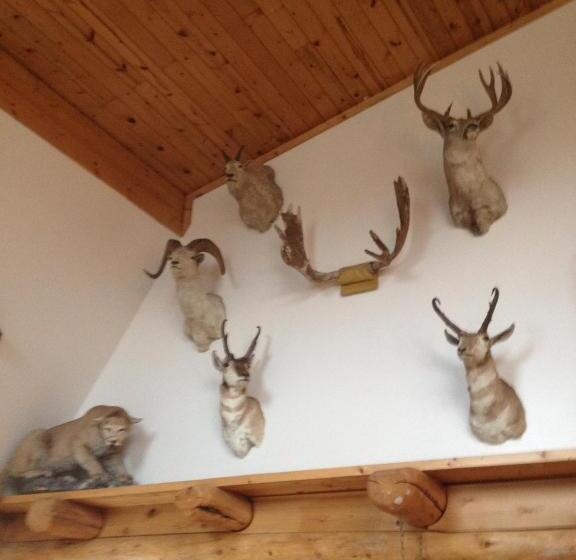 فندق صغير Duck Lake Lodge