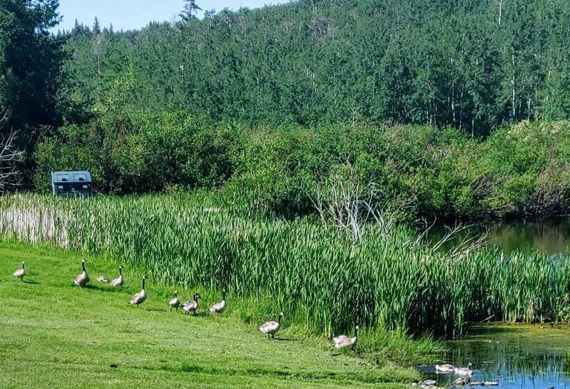 فندق صغير Duck Lake Lodge