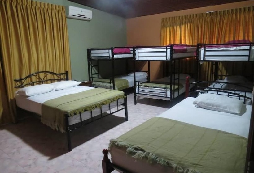 فندق صغير Hostal Cocos Inn