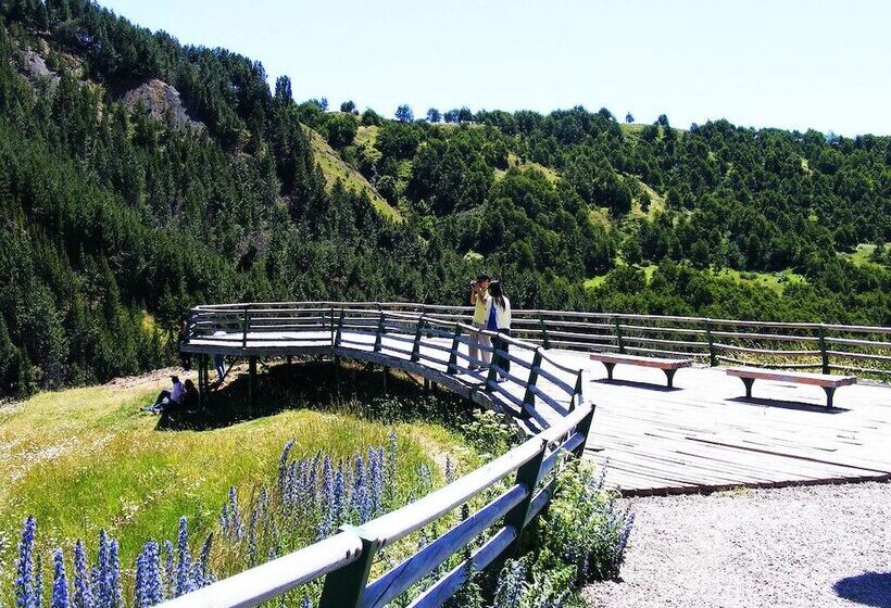 Общежитие Hostal Viento Sur