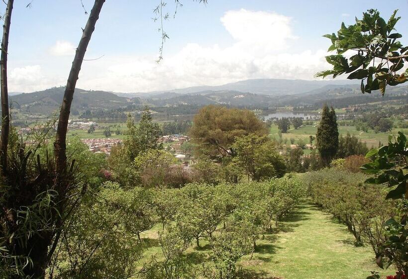 Общежитие Miravalle Suites