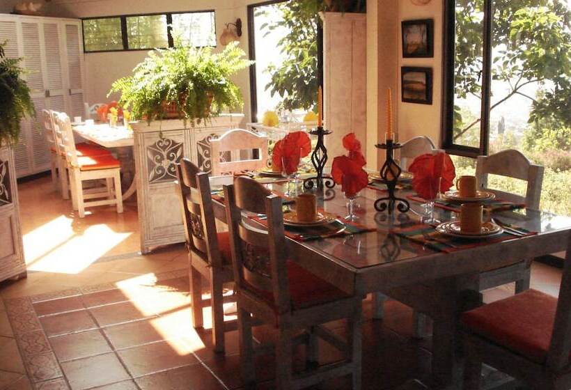 Общежитие Miravalle Suites